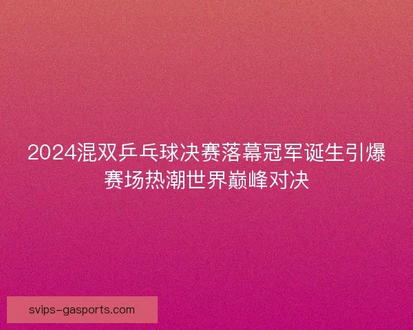 2024混双乒乓球决赛落幕冠军诞生引爆赛场热潮世界巅峰对决